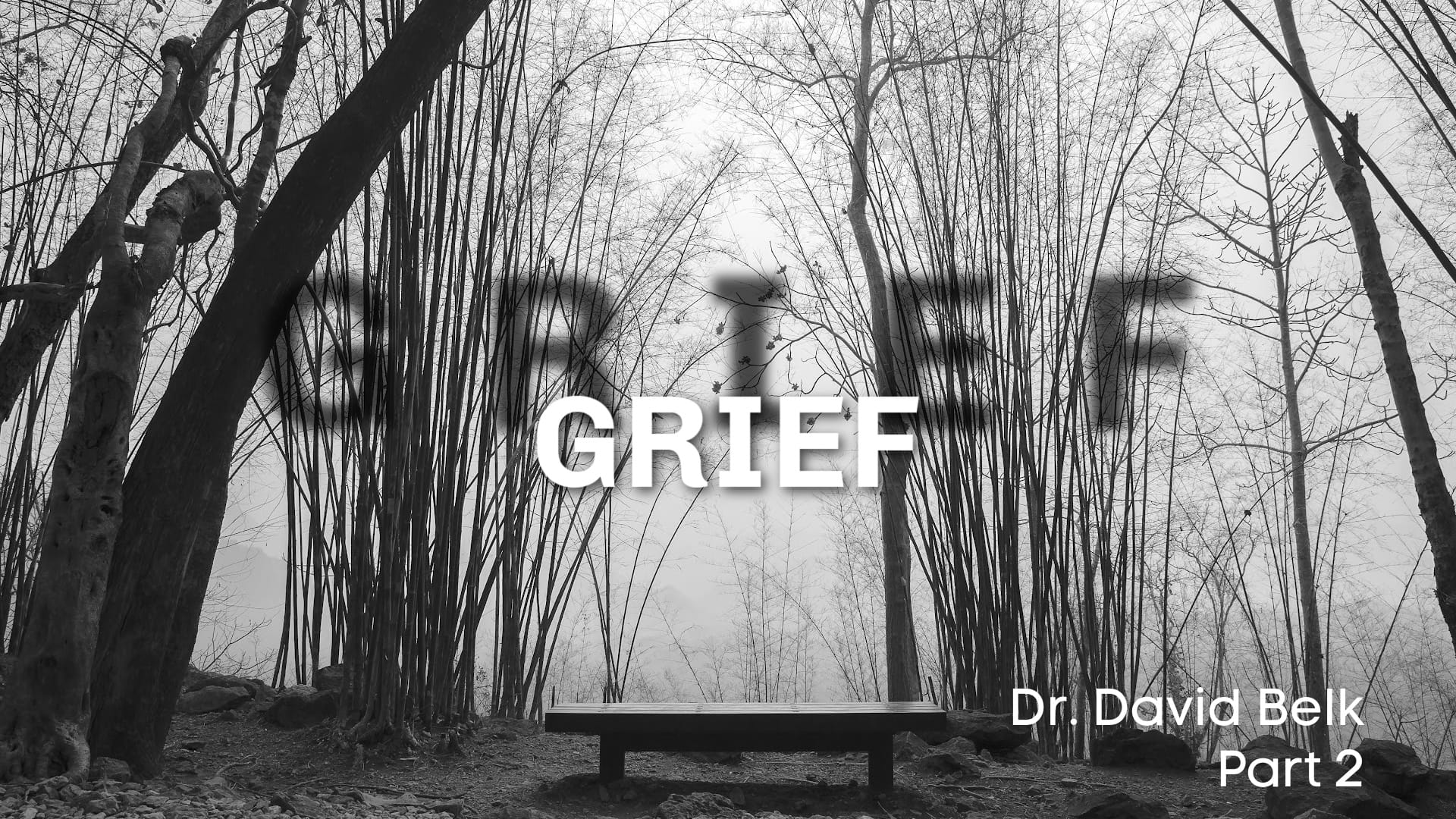 Grief – Part 2